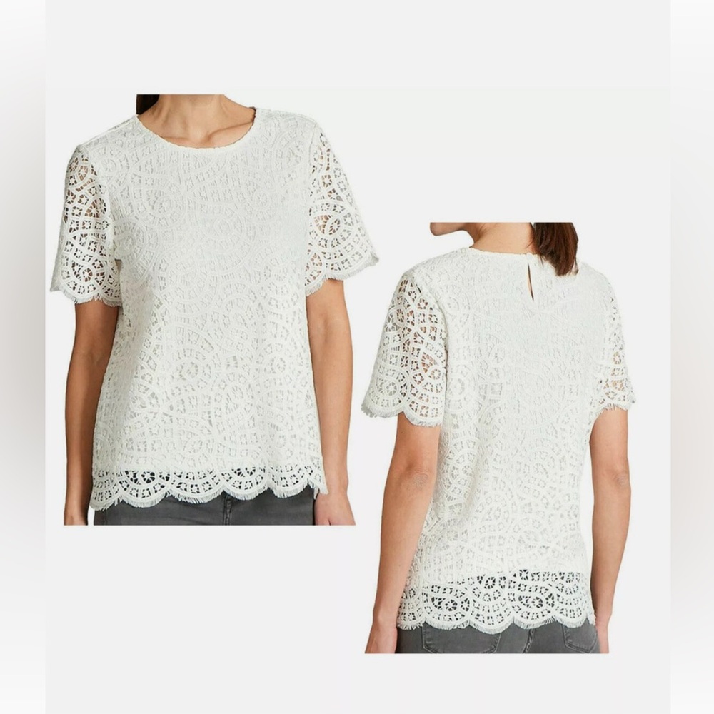 Philosophy White Crochet Lace Short Sleeve Top New with  Tags